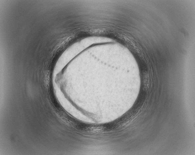 X0000115540495200912041014