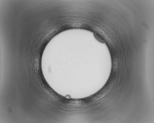 X0000115540497200912041014