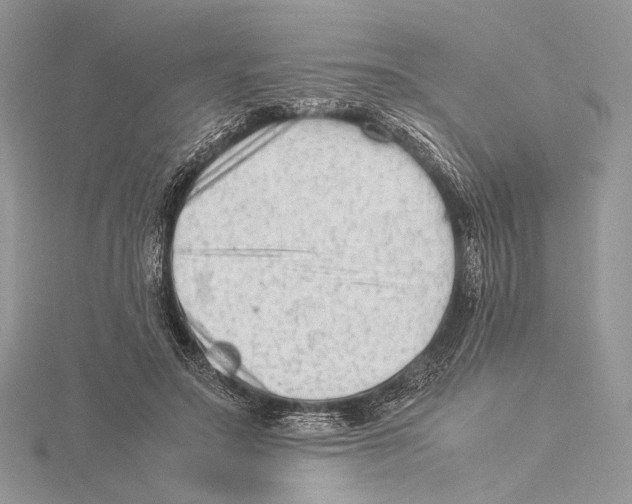 X0000115540499200912041014