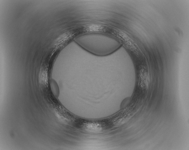 X0000115540500200912041014