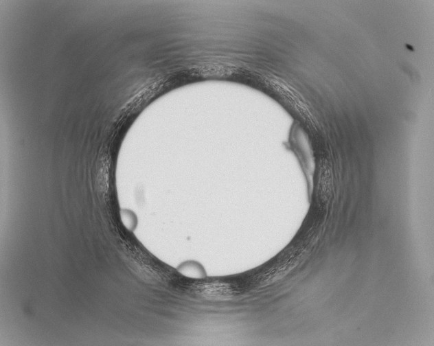 X0000115540501200912041014