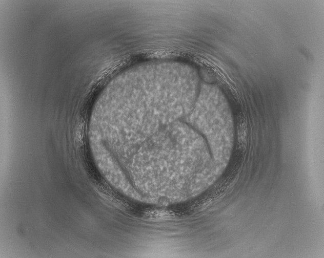 X0000115540503200912041014