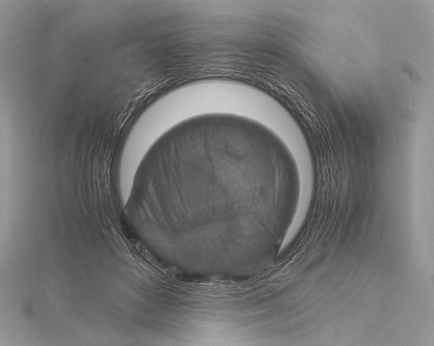 X0000115540504200912041014