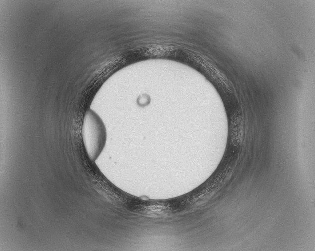 X0000115540505200912041014