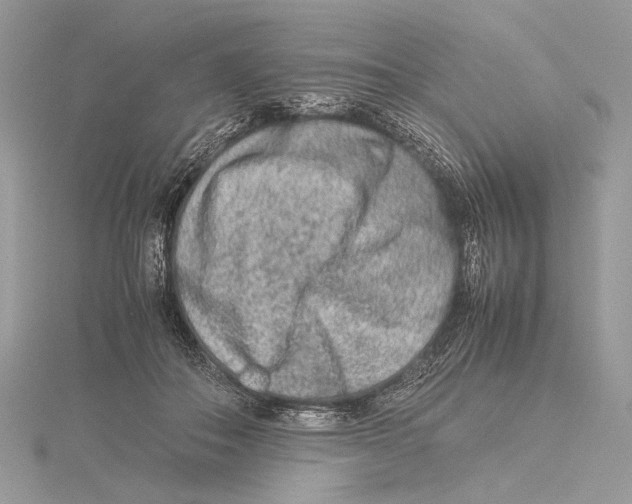 X0000115540506200912041014