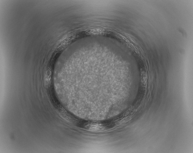 X0000115540507200912041014