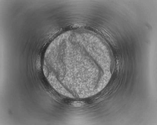 X0000115540508200912041014