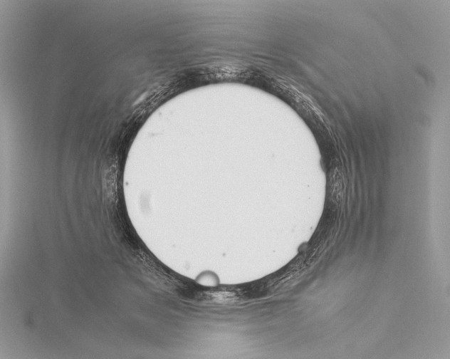 X0000115540509200912041013