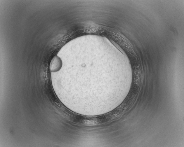 X0000115540510200912041013