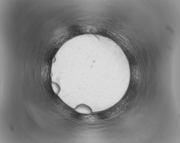 X0000115540511200912041013