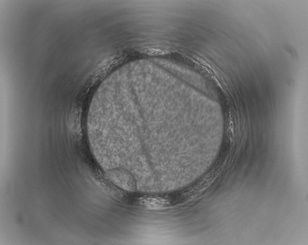 X0000115540512200912041013