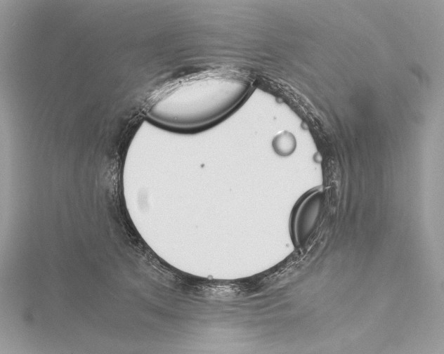 X0000115540513200912041013