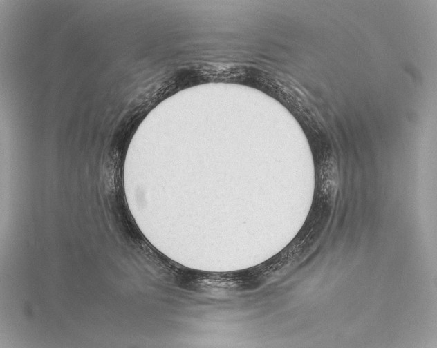 X0000115540515200912041013