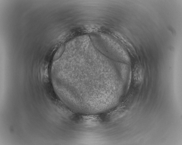 X0000115540516200912041013