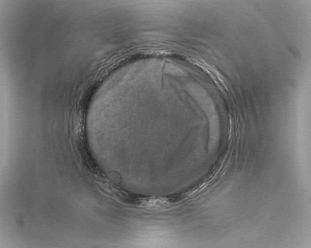 X0000115540517200912041013