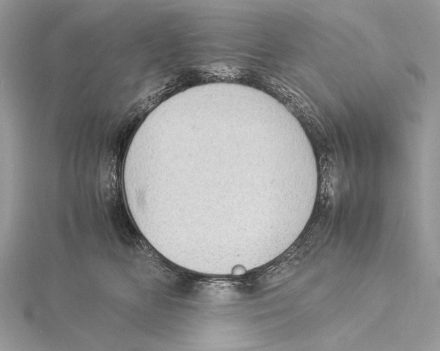 X0000115540518200912041013