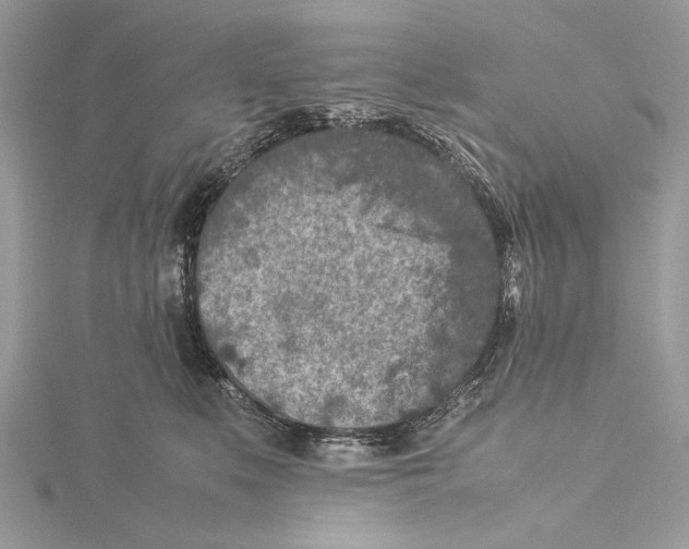 X0000115540519200912041013