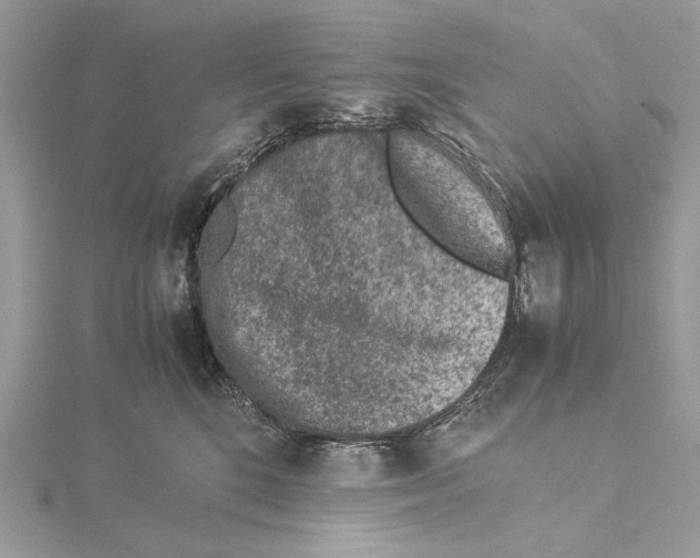 X0000115540520200912041013