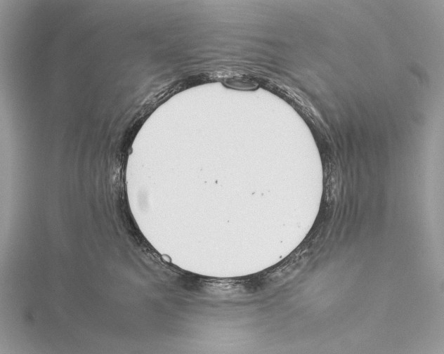 X0000115540521200912041013