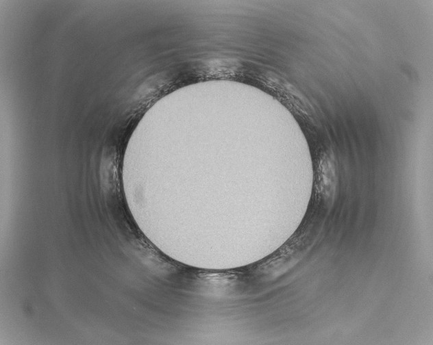 X0000115540522200912041013