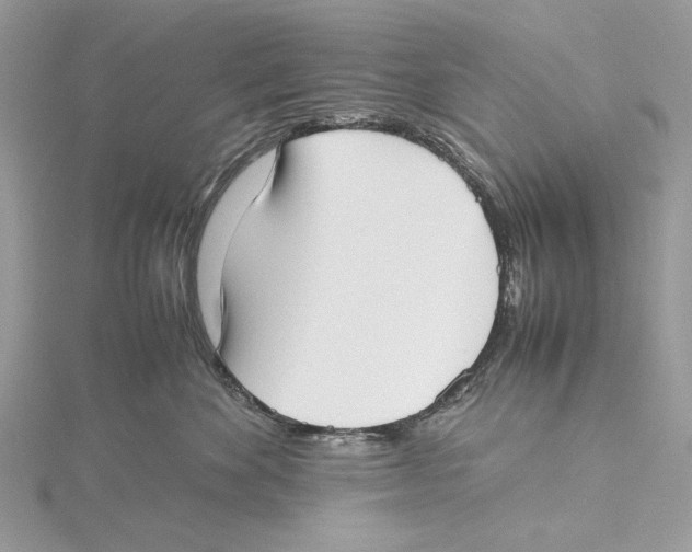 X0000115540524200912041013