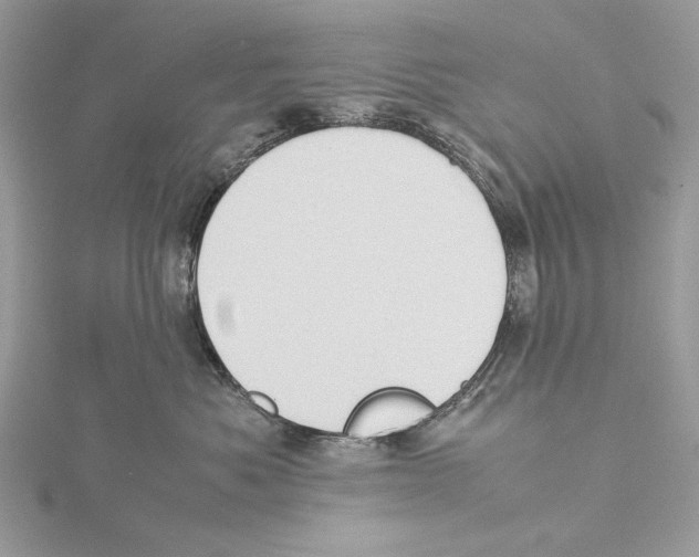 X0000115540525200912041013