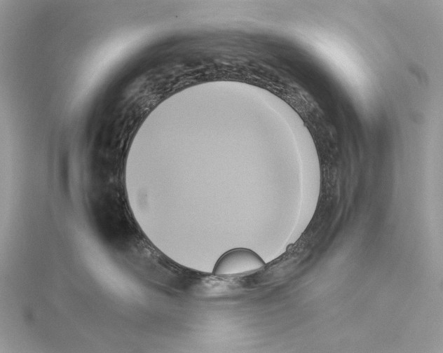 X0000115540526200912041013