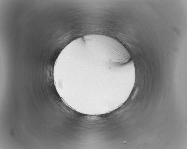 X0000115540528200912041013