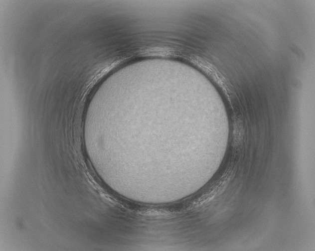 X0000115540529200912041012