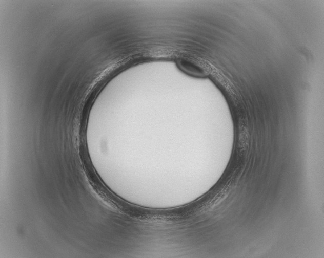 X0000115540530200912041012