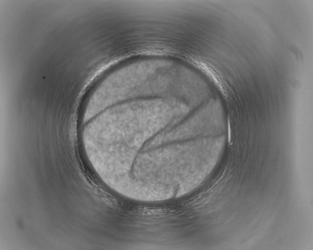 X0000115540531200912041012