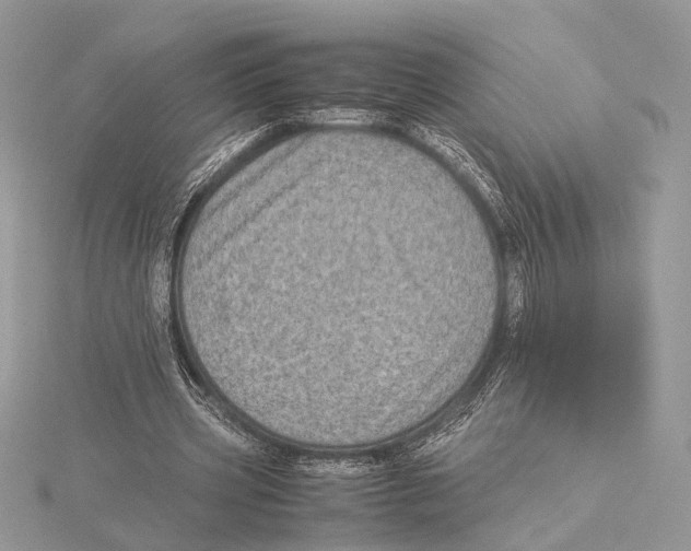 X0000115540533200912041013