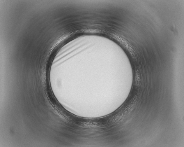 X0000115540535200912041013