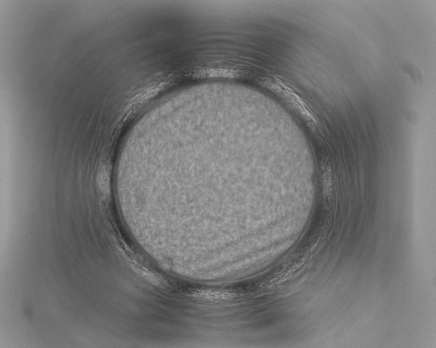 X0000115540537200912041013