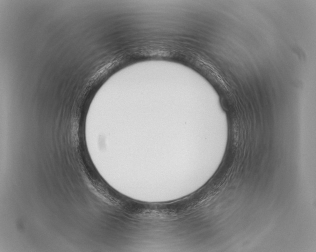 X0000115540538200912041013