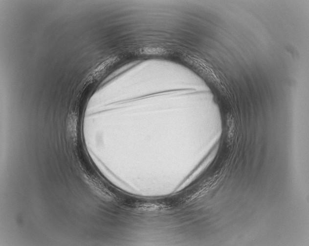 X0000115540542200912041013