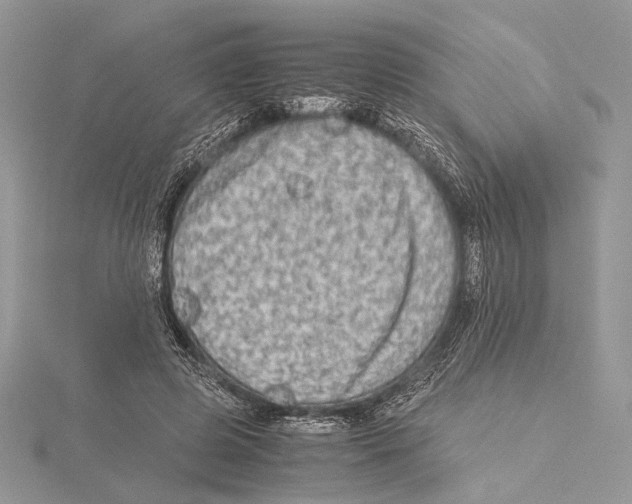 X0000115540545200912041013