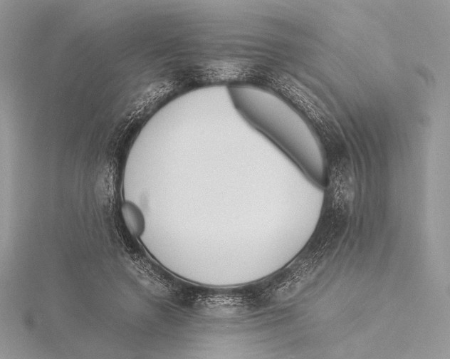 X0000115540546200912041013