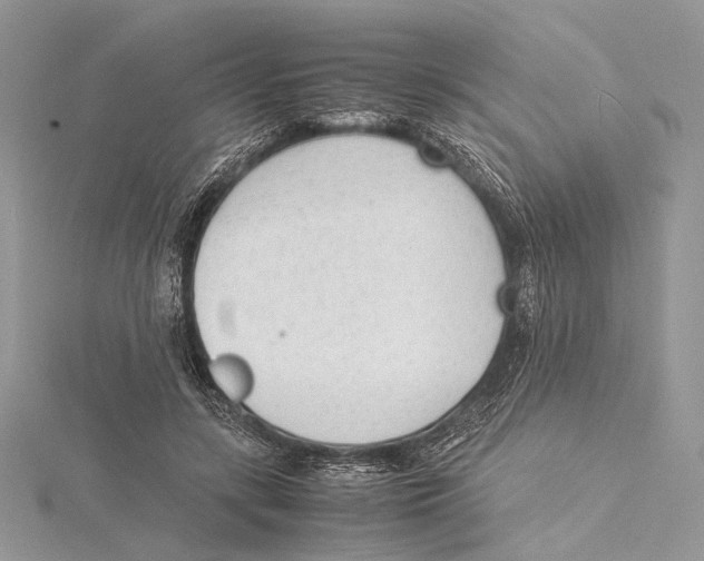 X0000115540547200912041013