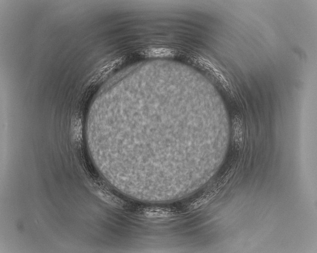 X0000115540549200912041013