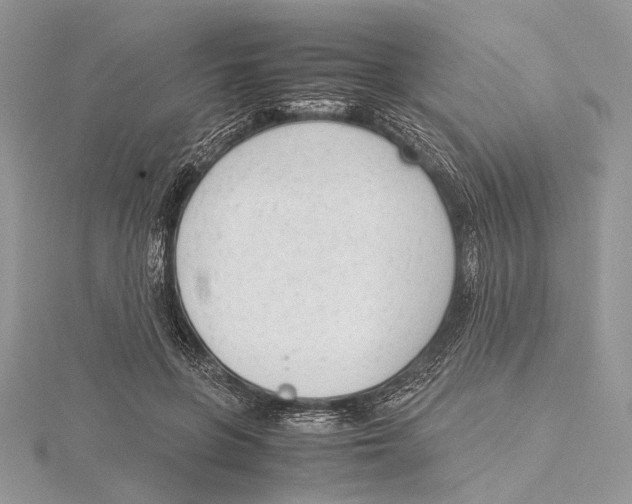 X0000115540551200912041013