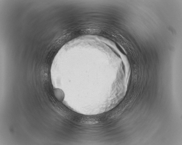 X0000115540553200912041013