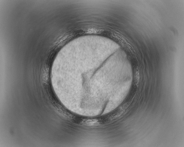 X0000115540554200912041013