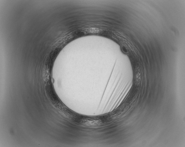 X0000115540555200912041013