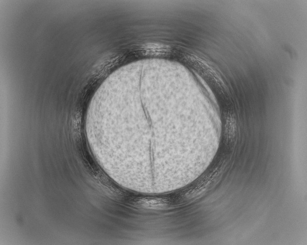 X0000115540557200912041013