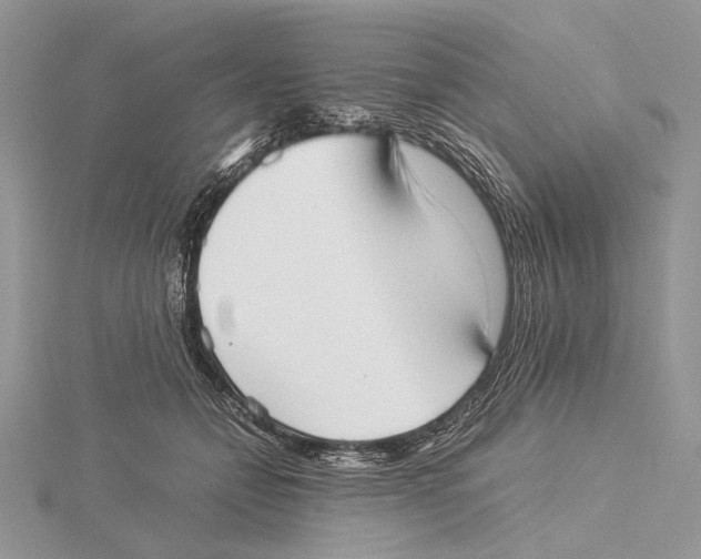 X0000115540558200912041013