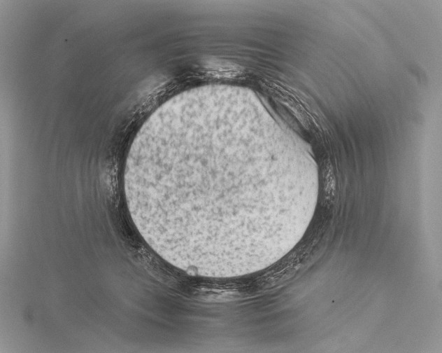 X0000115540559200912041013