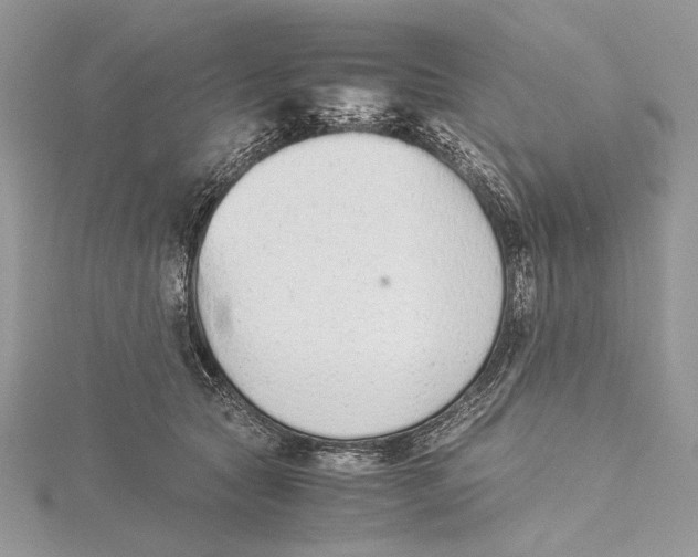 X0000115540561200912041013