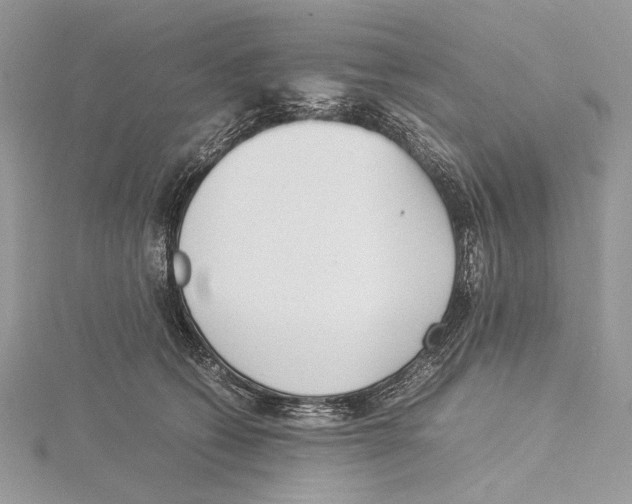 X0000115540562200912041013