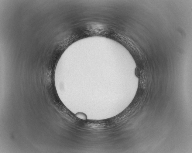 X0000115540563200912041013